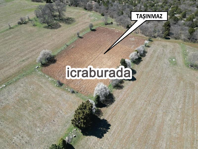 icralık  m2 Tarla Kütahya Merkez Yenice