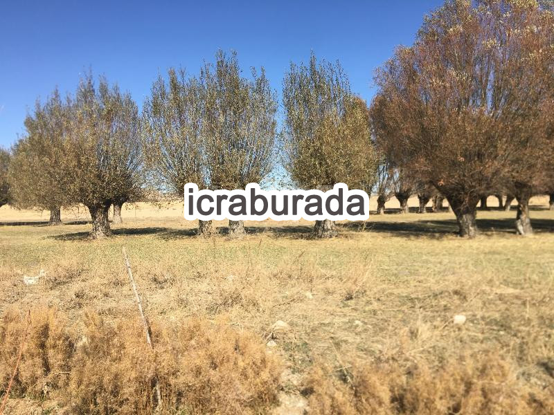 icralık  m2 Tarla Malatya Darende Palanga