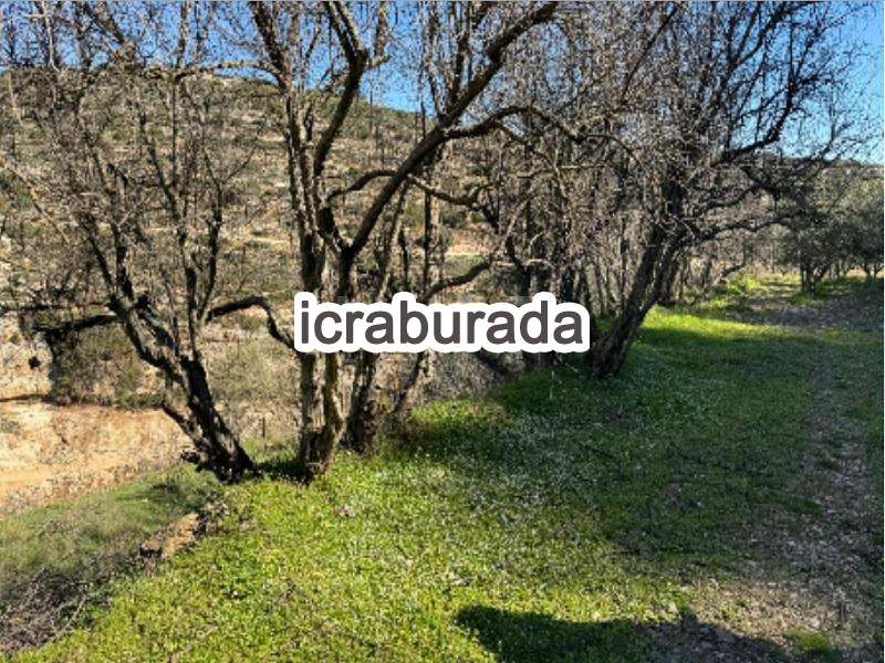 icralık  m2 Tarla Hatay Altınözü Kozkalesi