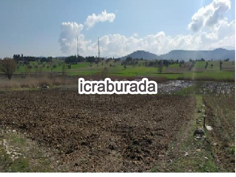 icralık  m2 Tarla Burdur Gölhisar İbecik