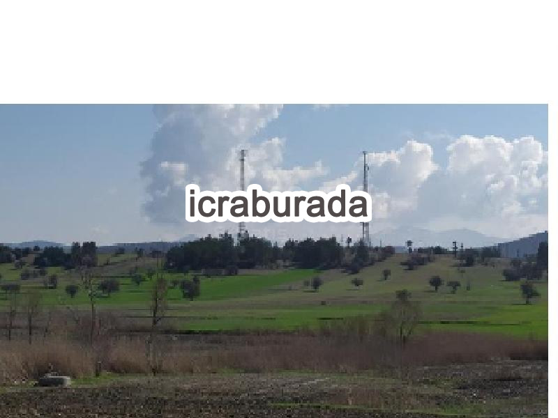 icralık  m2 Tarla Burdur Gölhisar İbecik