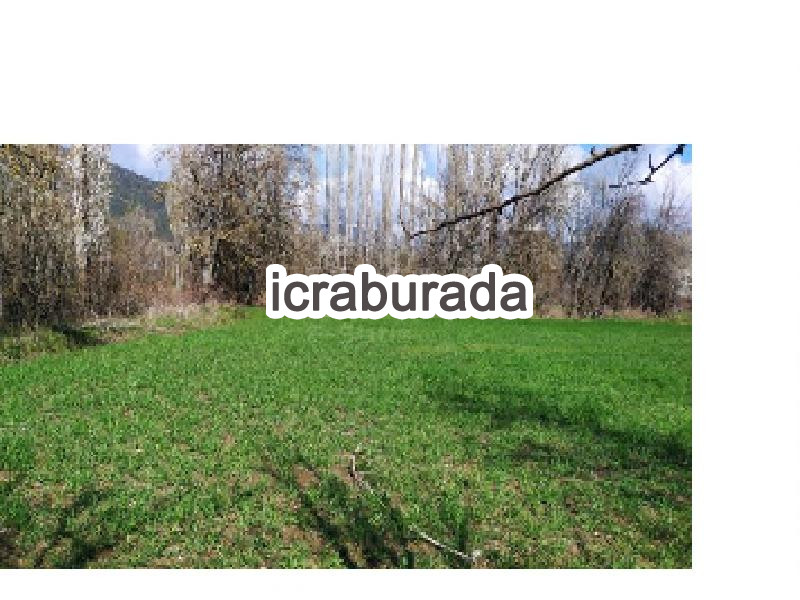icralık  m2 Tarla Burdur Gölhisar İbecik