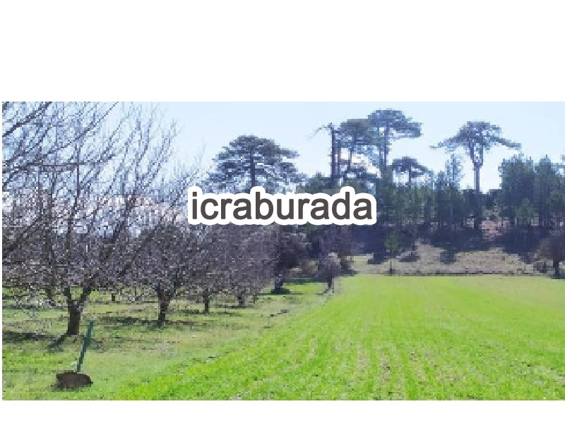 icralık  m2 Tarla Burdur Gölhisar İbecik