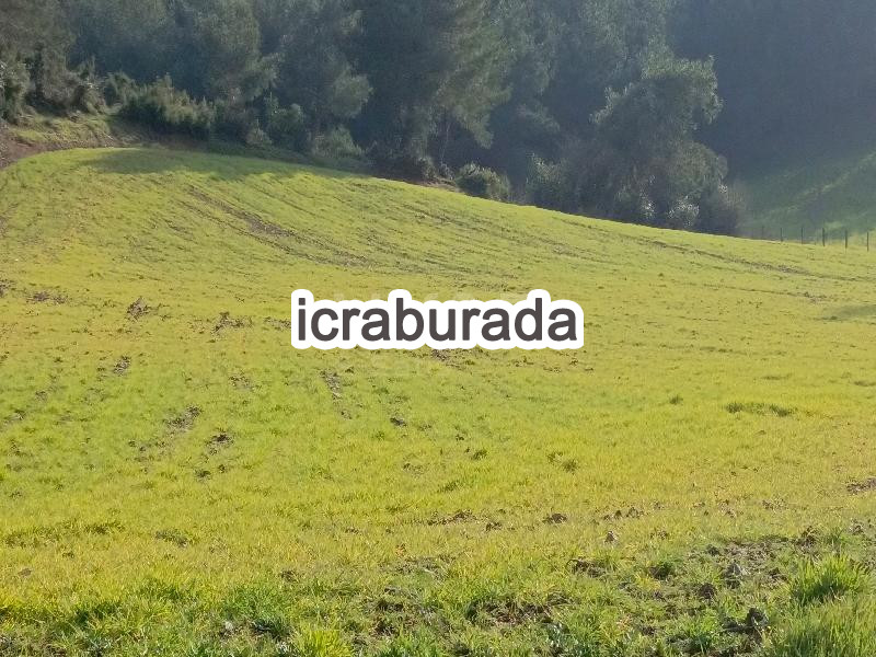 icralık  m2 Tarla Çanakkale Bayramiç Saridüz