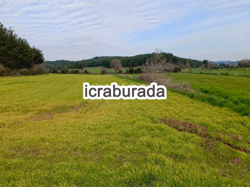 icralık  m2 Tarla Çanakkale Bayramiç Saridüz