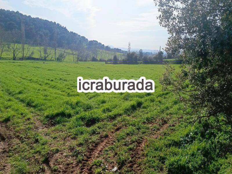 icralık  m2 Tarla Çanakkale Bayramiç Saridüz
