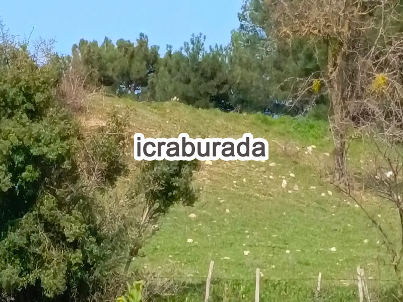 icralık  m2 Tarla Çanakkale Bayramiç Saridüz