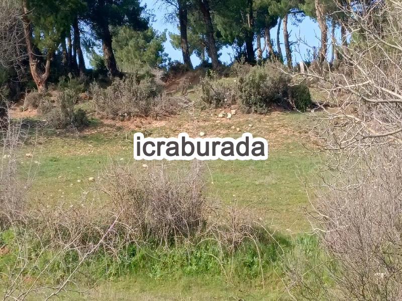 icralık  m2 Tarla Çanakkale Bayramiç Saridüz