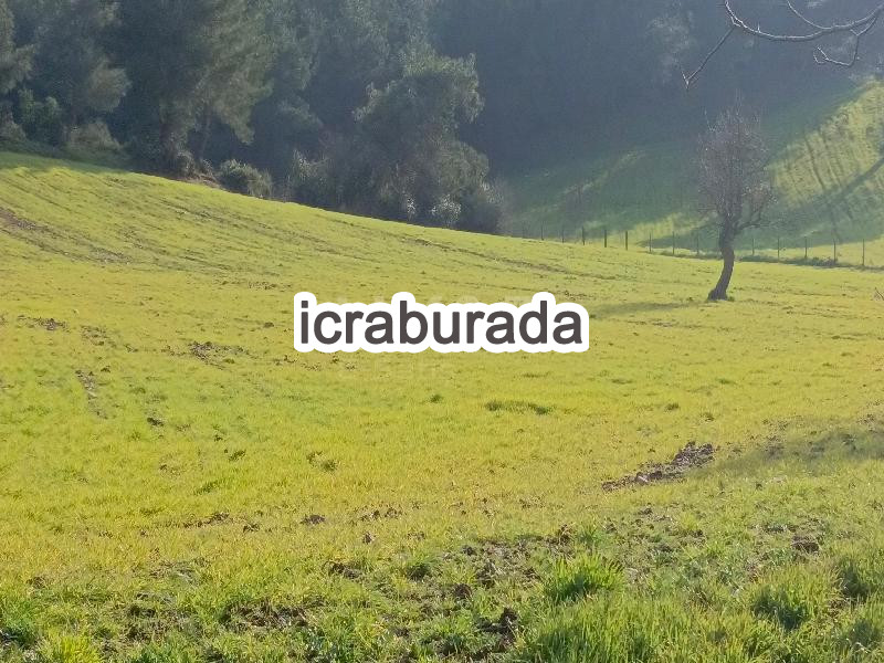 icralık  m2 Tarla Çanakkale Bayramiç Saridüz