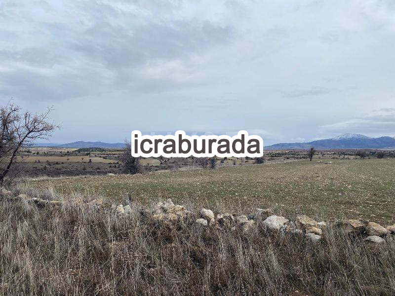 icralık  m2 Tarla Konya Beyşehir Gündoğdu
