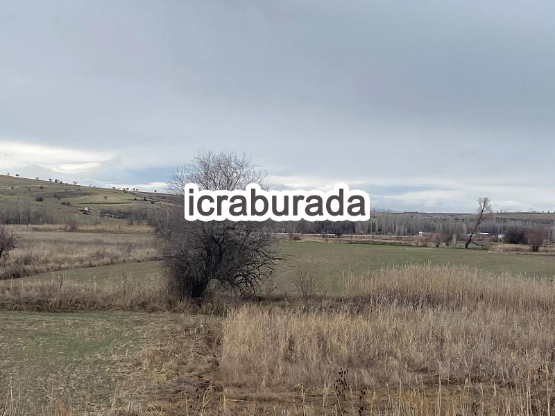 icralık  m2 Tarla Konya Beyşehir Gündoğdu