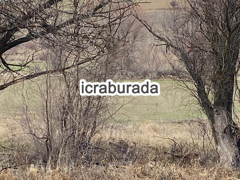 icralık  m2 Tarla Konya Beyşehir Gündoğdu