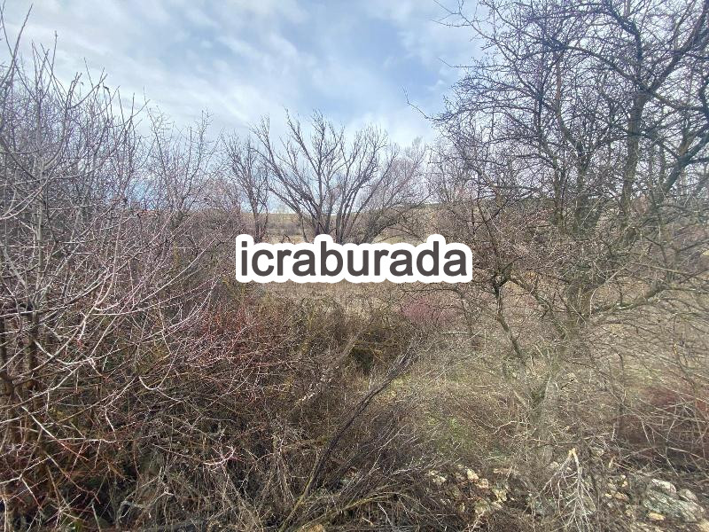 icralık  m2 Tarla Konya Beyşehir Gündoğdu
