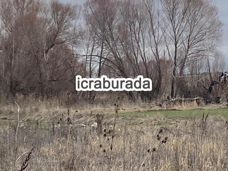 icralık  m2 Tarla Konya Beyşehir Gündoğdu