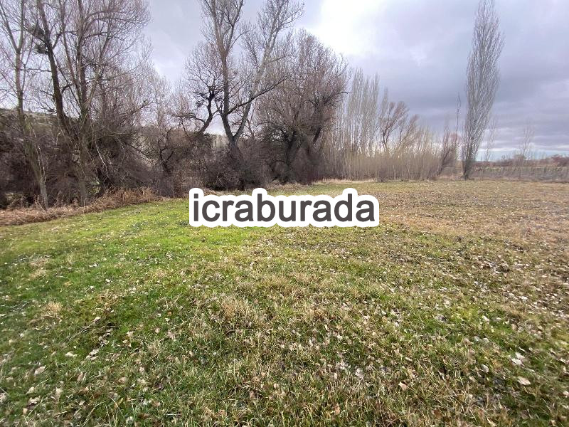 icralık  m2 Tarla Konya Beyşehir Gündoğdu