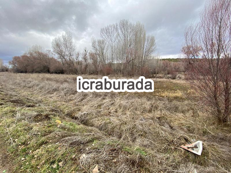 icralık  m2 Tarla Konya Beyşehir Gündoğdu