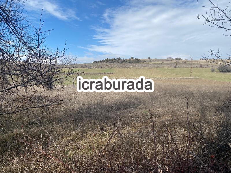 icralık  m2 Tarla Konya Beyşehir Gündoğdu