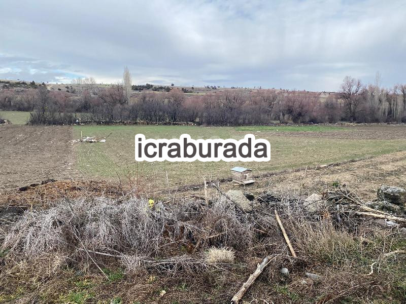 icralık  m2 Tarla Konya Beyşehir Gündoğdu