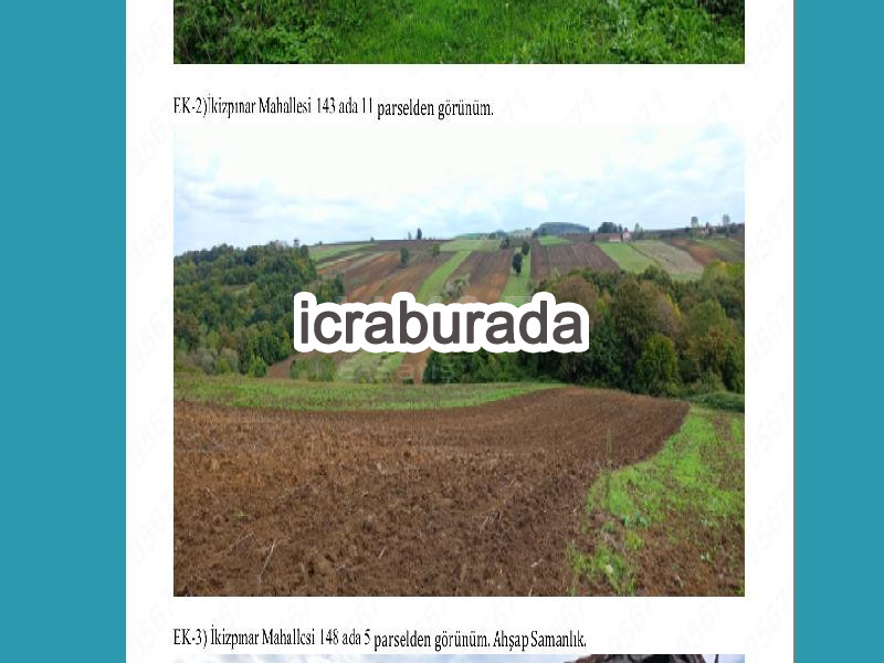 icralık  m2 Tarla Samsun Bafra İkizpinar