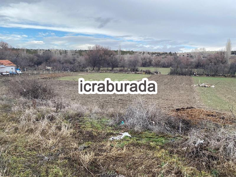 icralık  m2 Tarla Konya Beyşehir Gündoğdu