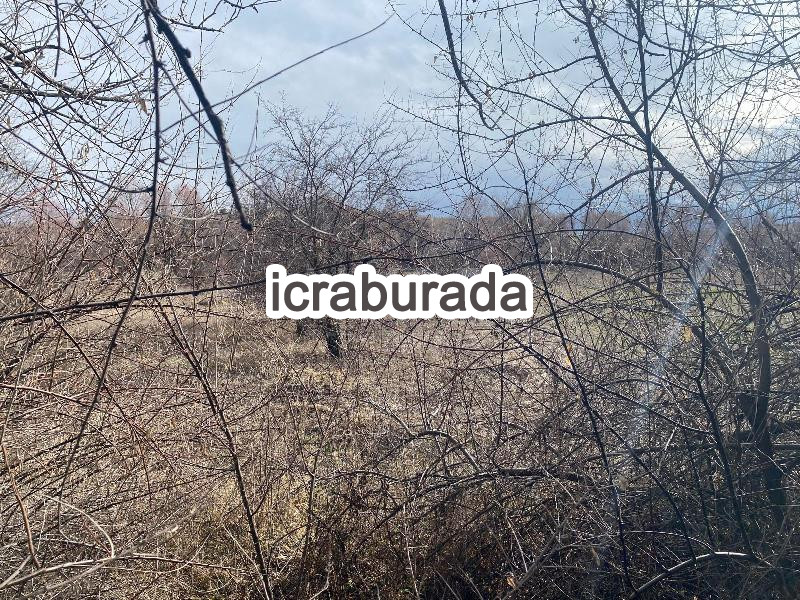icralık  m2 Tarla Konya Beyşehir Gündoğdu
