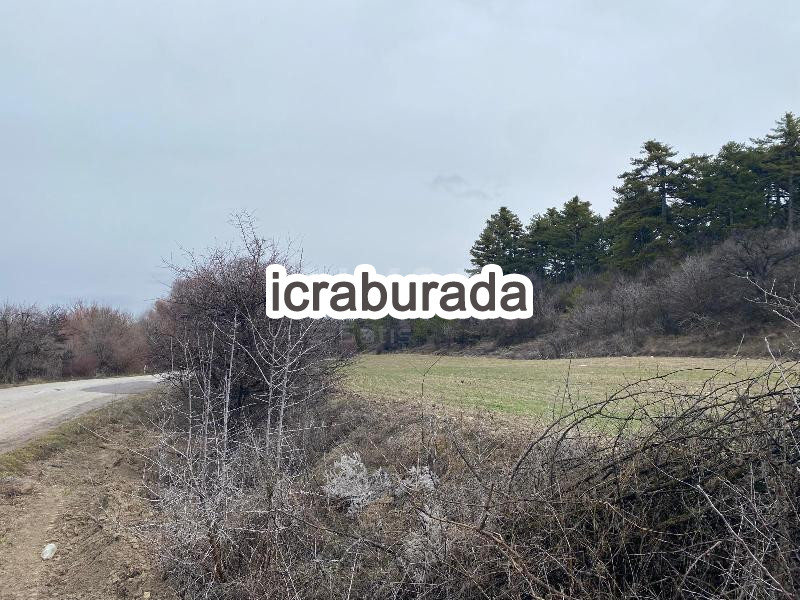 icralık  m2 Tarla Konya Beyşehir Gündoğdu