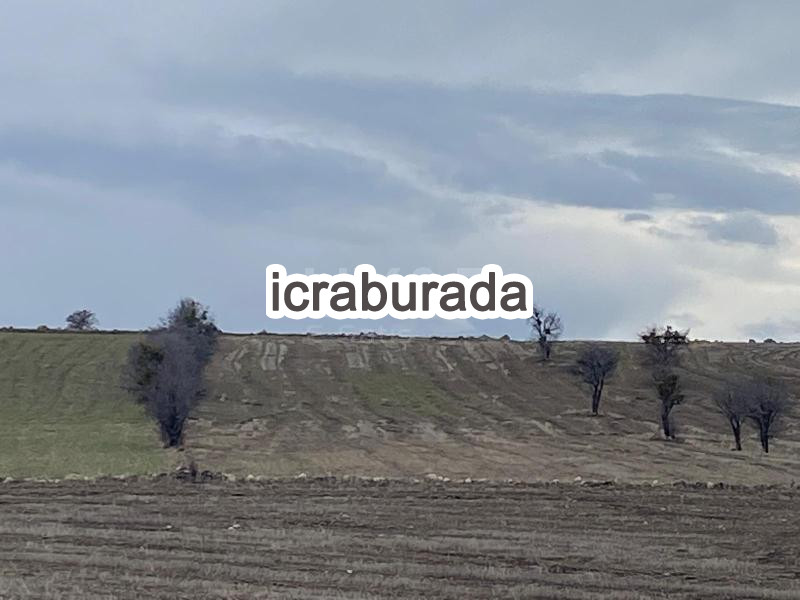 icralık  m2 Tarla Konya Beyşehir Gündoğdu
