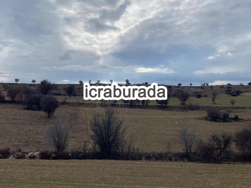 icralık  m2 Tarla Konya Beyşehir Gündoğdu