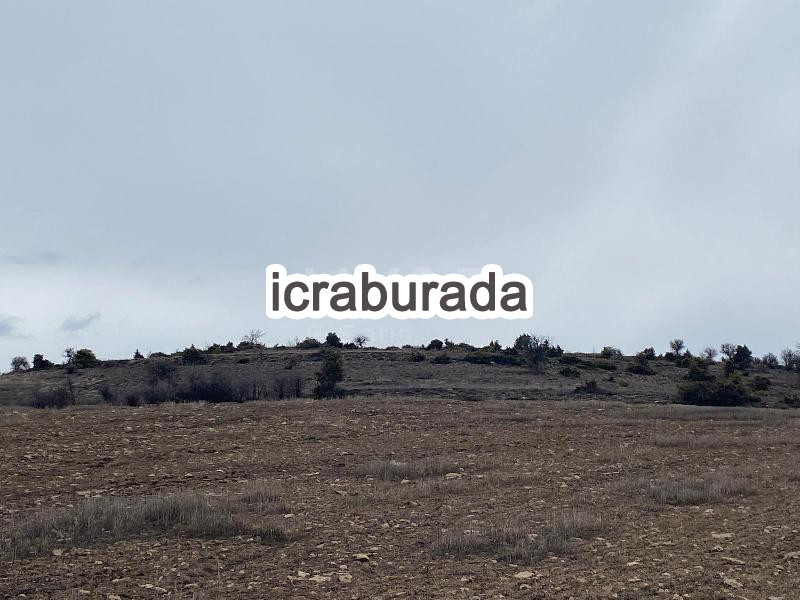icralık  m2 Tarla Konya Beyşehir Gündoğdu