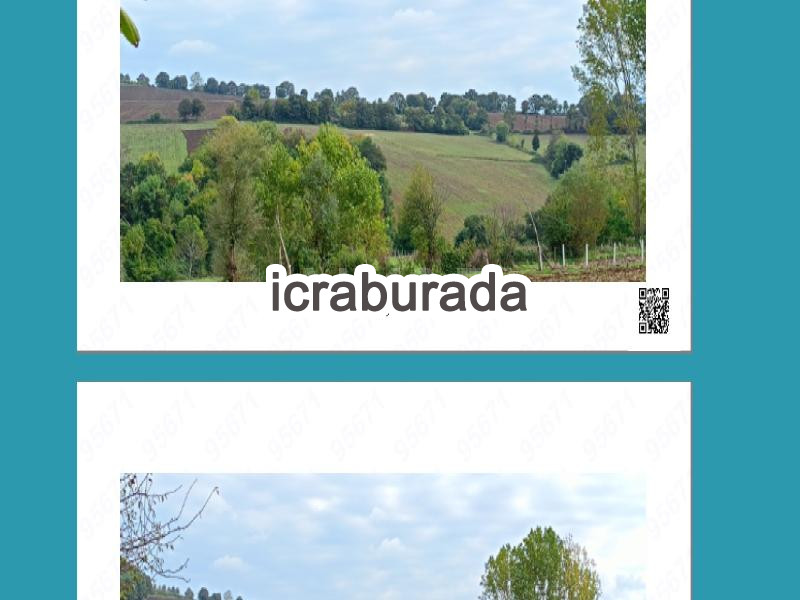 icralık  m2 Tarla Samsun Bafra İkizpinar