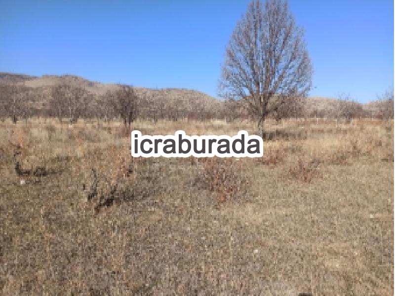 icralık  m2 Bag Isparta Senirkent Onaltihaziran