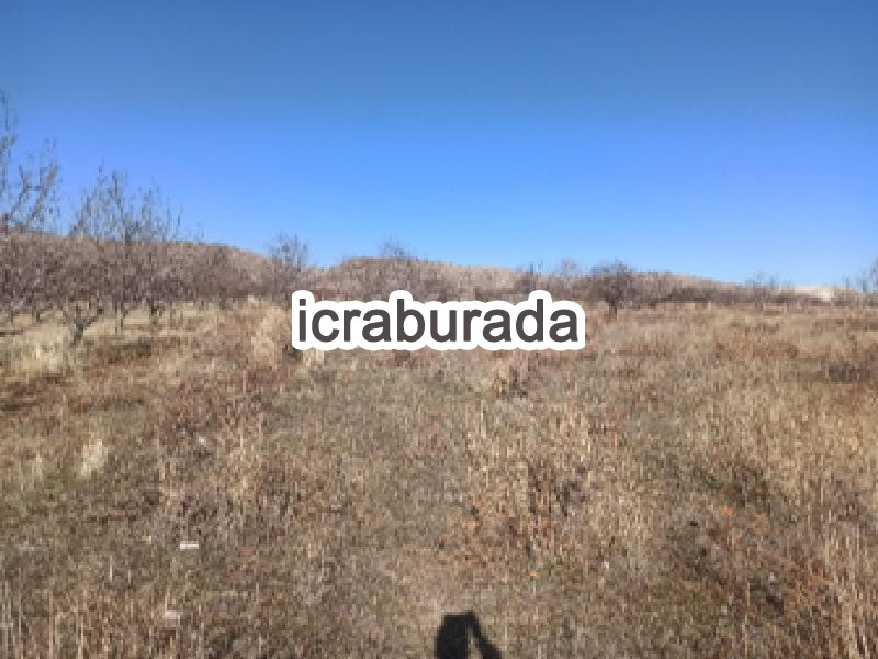 icralık  m2 Bag Isparta Senirkent Onaltihaziran