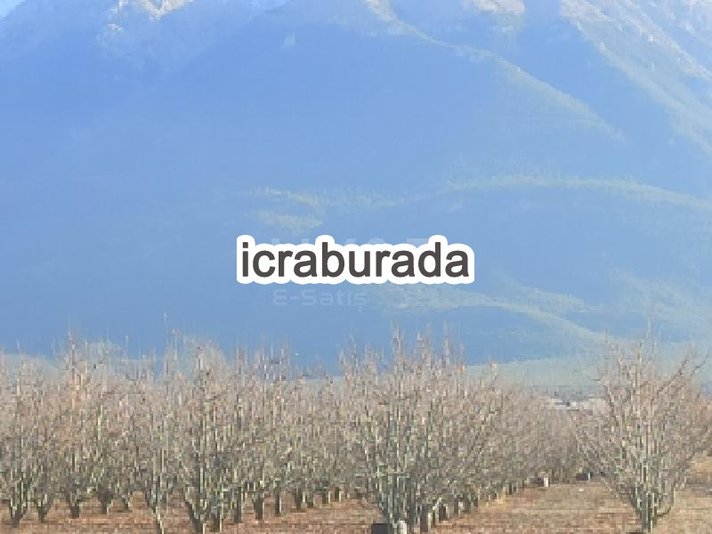 icralık  m2 Tarla Isparta Senirkent Büyükkabaca/sultansüleyman