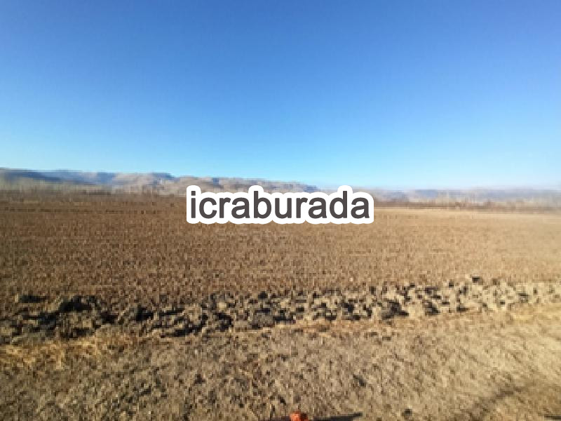icralık  m2 Tarla Isparta Senirkent Büyükkabaca/sultansüleyman