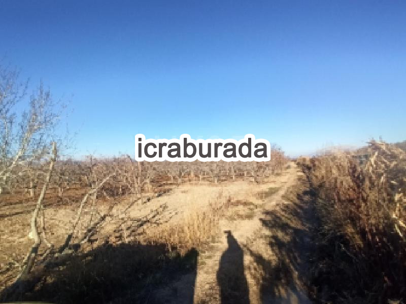 icralık  m2 Tarla Isparta Senirkent Büyükkabaca/sultansüleyman
