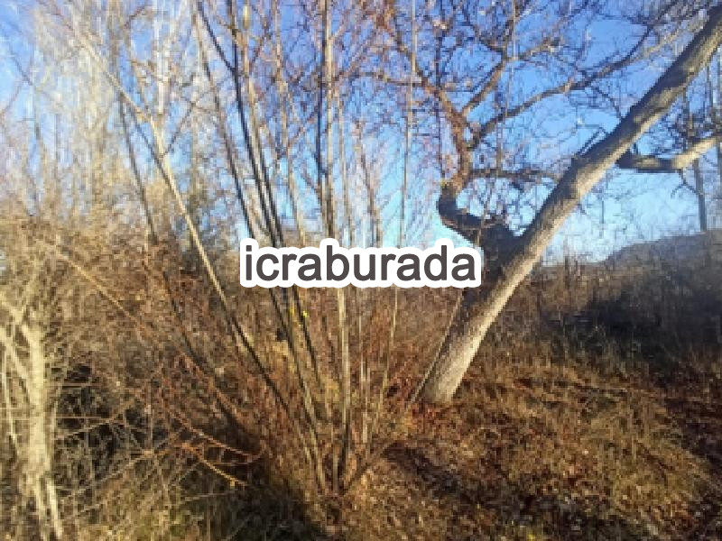 icralık  m2 Tarla Isparta Senirkent Büyükkabaca/sultansüleyman