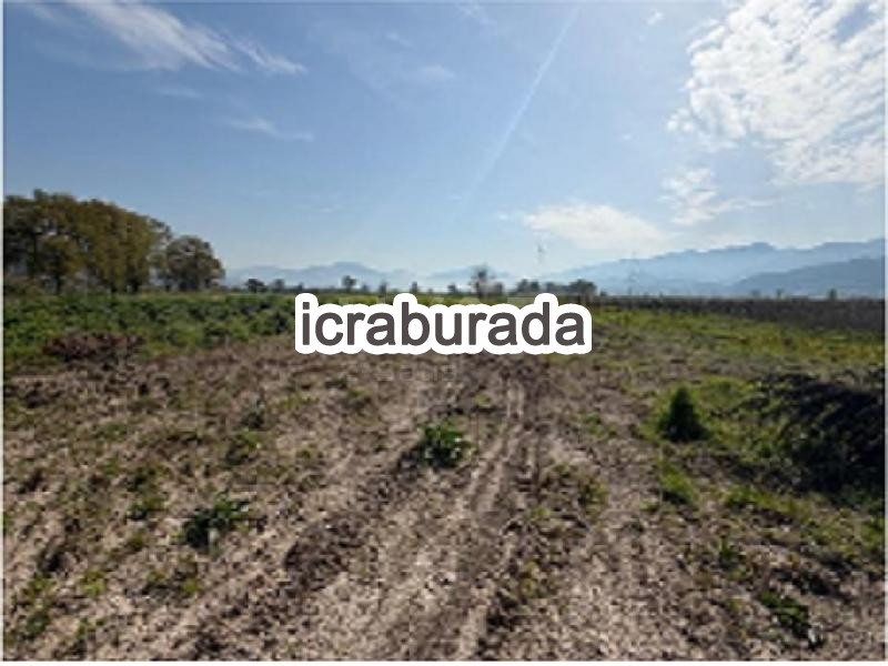 icralık  m2 Tarla Sakarya Pamukova Cihadiye