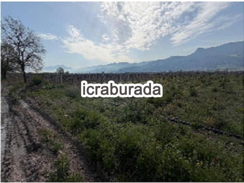 icralık  m2 Tarla Sakarya Pamukova Cihadiye