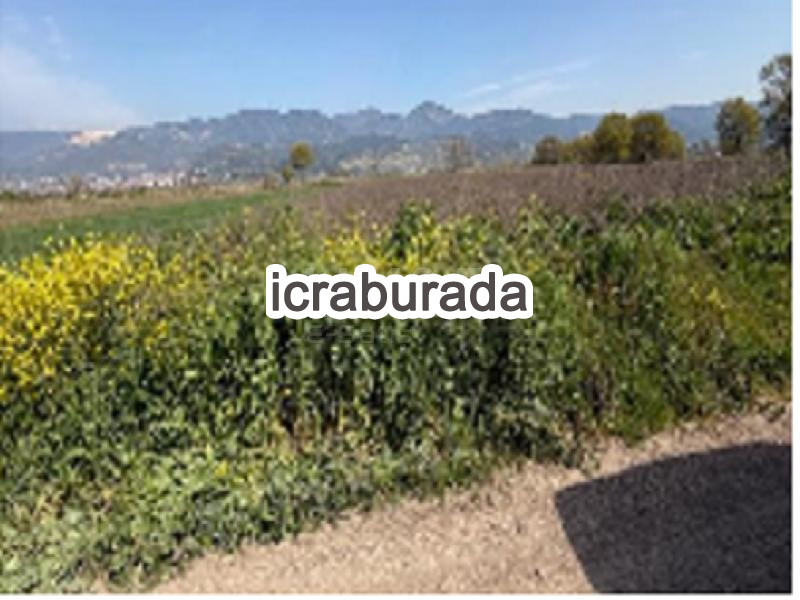 icralık  m2 Tarla Sakarya Pamukova Cihadiye