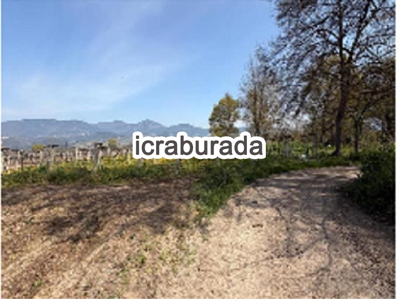 icralık  m2 Tarla Sakarya Pamukova Cihadiye