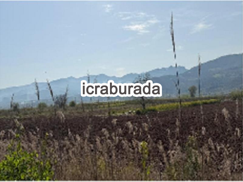icralık  m2 Tarla Sakarya Pamukova Cihadiye