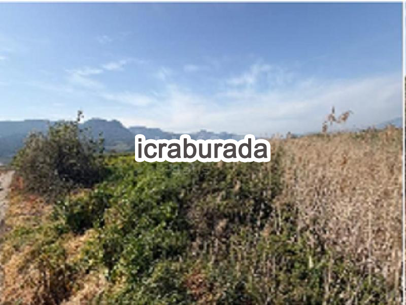 icralık  m2 Tarla Sakarya Pamukova Cihadiye