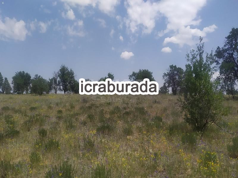 icralık  m2 Bag Konya Çumra Arikören