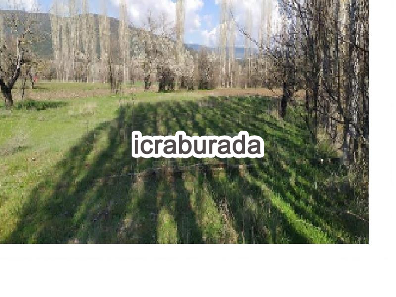 icralık  m2 Tarla Burdur Gölhisar İbecik