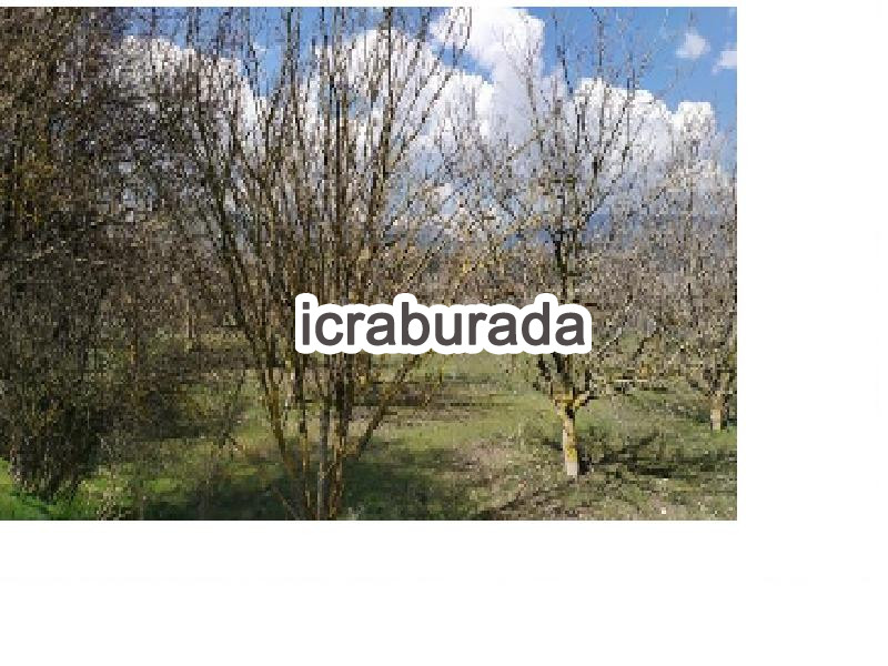 icralık  m2 Tarla Burdur Gölhisar İbecik