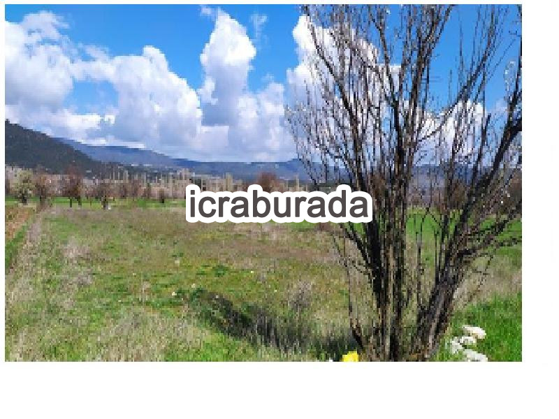 icralık  m2 Tarla Burdur Gölhisar İbecik