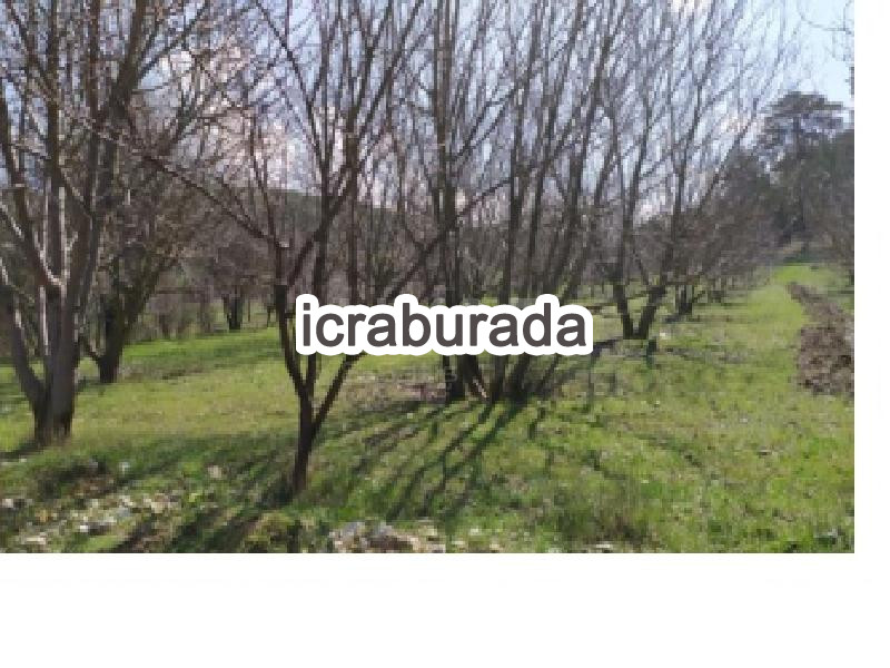 icralık  m2 Tarla Burdur Gölhisar İbecik