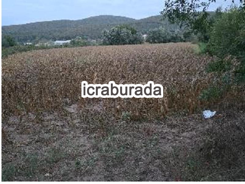 icralık  m2 Tarla Sakarya Söğütlü Akarca