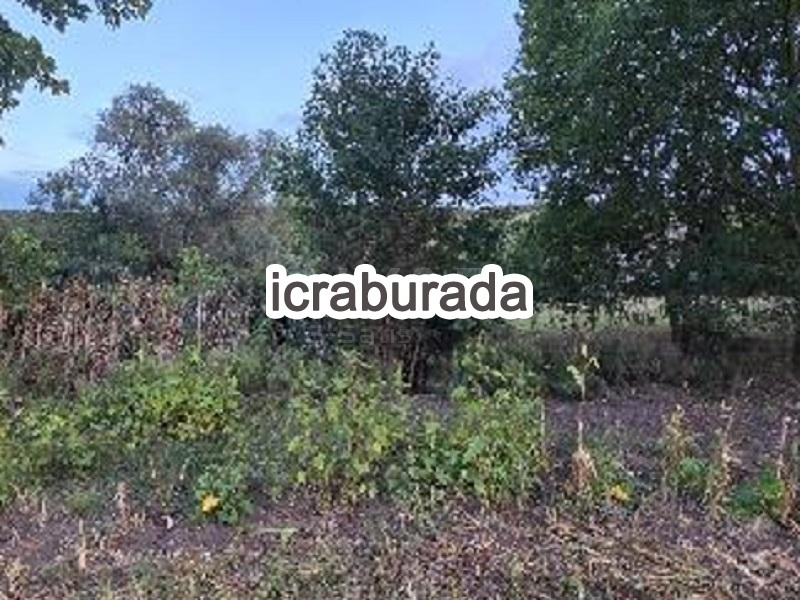 icralık  m2 Tarla Sakarya Söğütlü Akarca