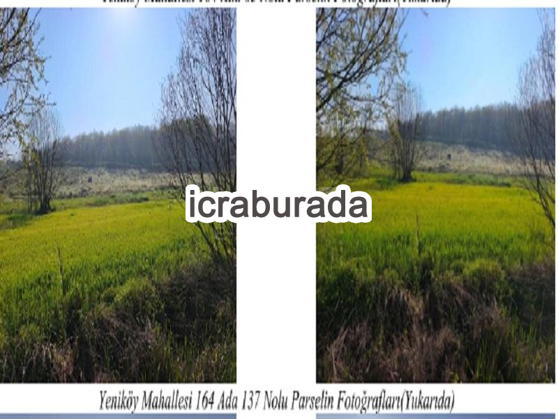 icralık  m2 Tarla Sakarya Söğütlü Yeniköy
